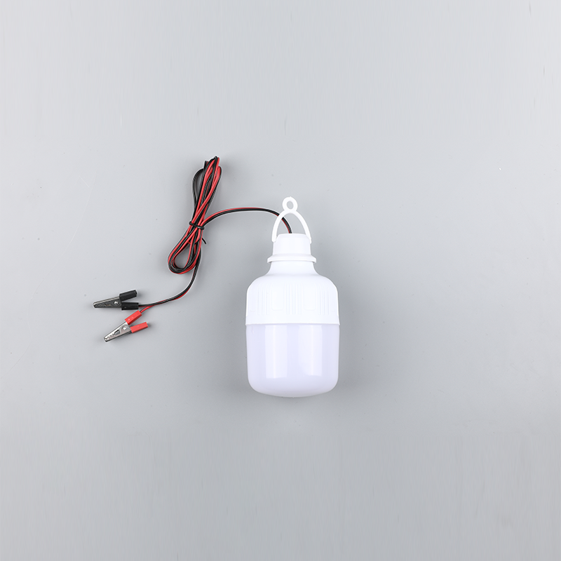 Led-Birne-dc12v 24v
