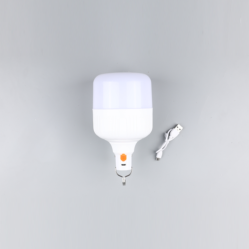 Led-Birne-DC 12v 24v