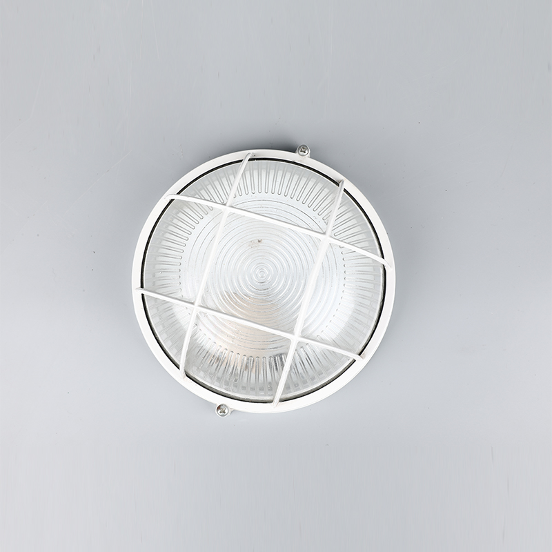 Explosionsgeschützte Lampe